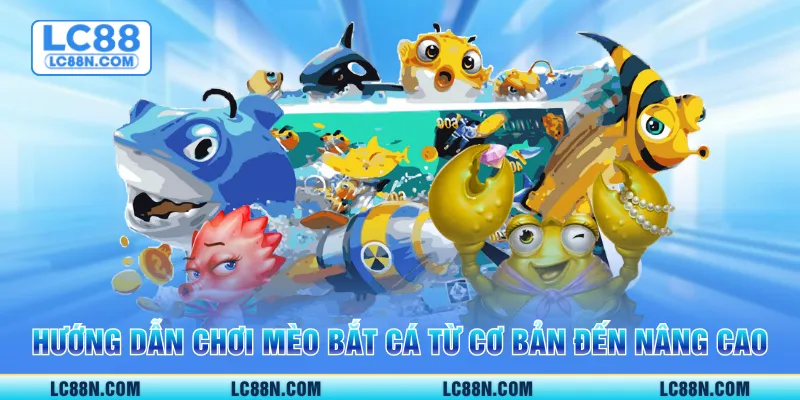 Hướng dẫn chơi mèo bắt cá từ cơ bản đến nâng cao