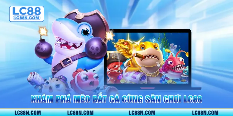 Khám phá mèo bắt cá cùng sân chơi LC88
