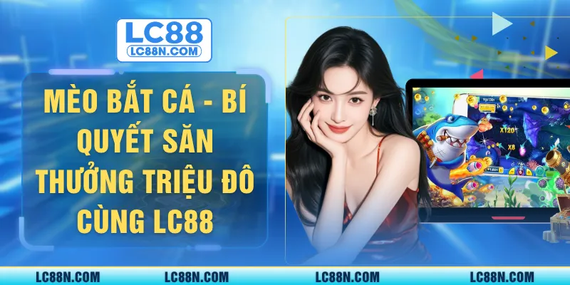 Mèo bắt cá