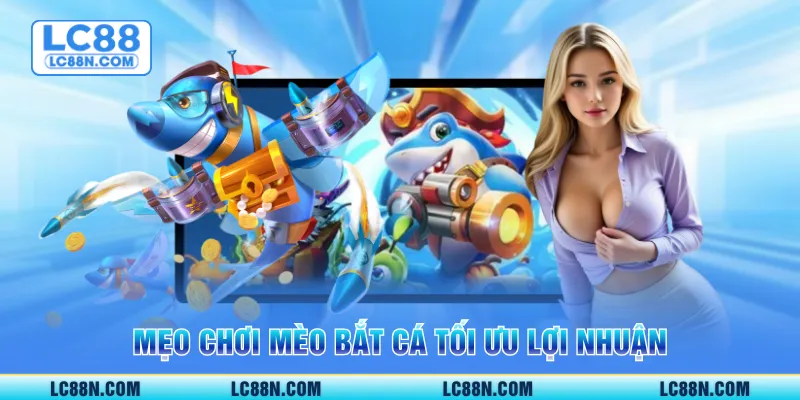 Mẹo chơi mèo bắt cá tối ưu lợi nhuận